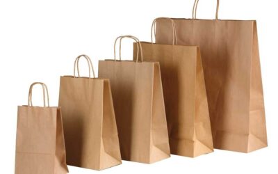 Fabricante de Bolsas de Papel y Bobinas en España 16 DATOS DE EVOLUCIÓN DEL SECTOR DE EMBALAJE DE PAPEL EN ZONA EURO 2024.